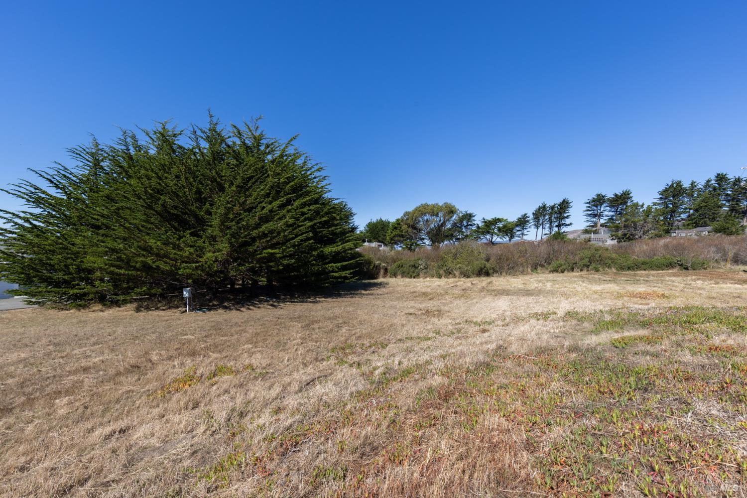 225 Los Santos Drive Bodega Bay CA 94923