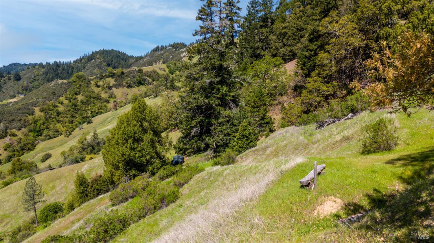 15800 Ridgeview Road Willits CA 95490
