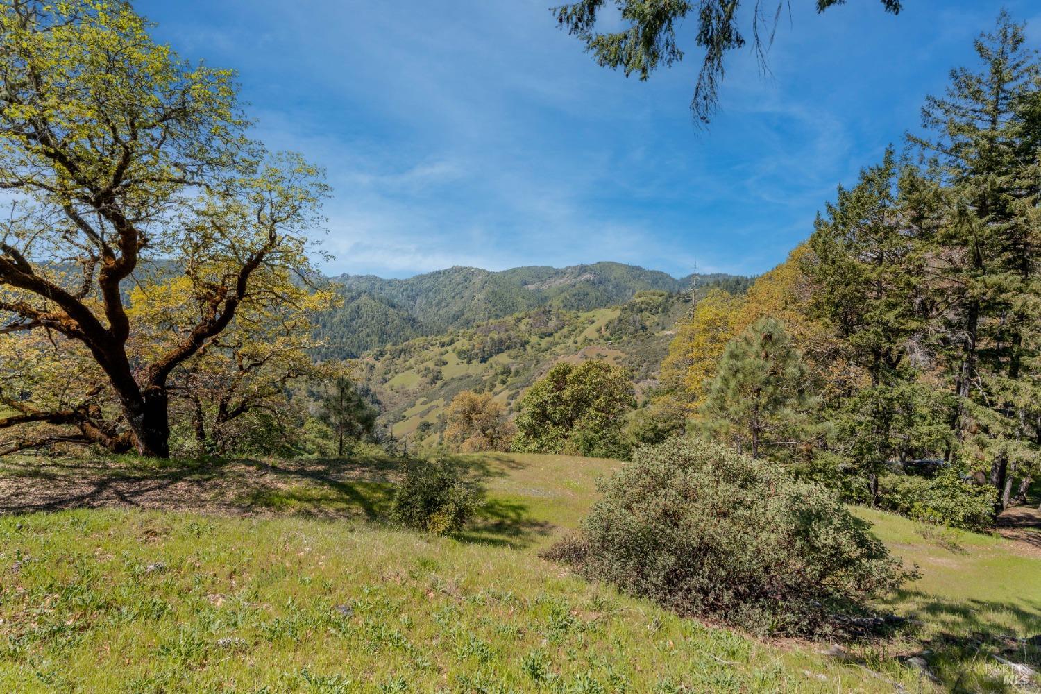 15800 Ridgeview Road Willits CA 95490