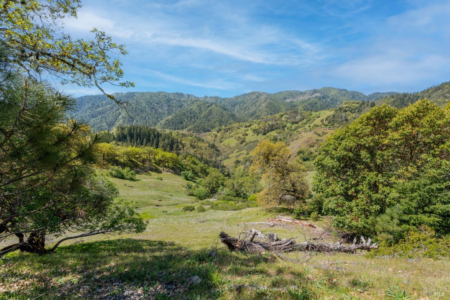 15800 Ridgeview Road Willits CA 95490