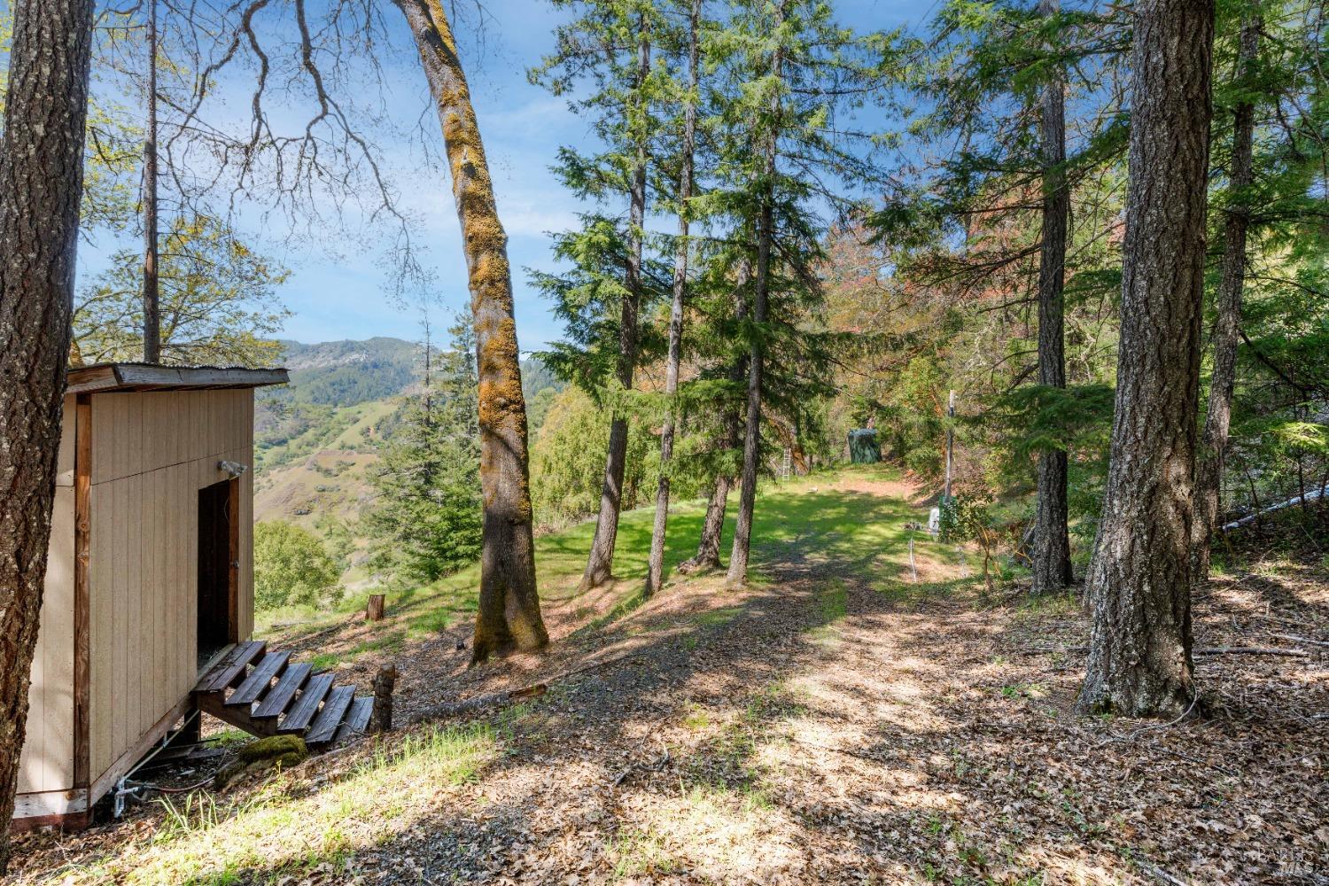 15800 Ridgeview Road Willits CA 95490