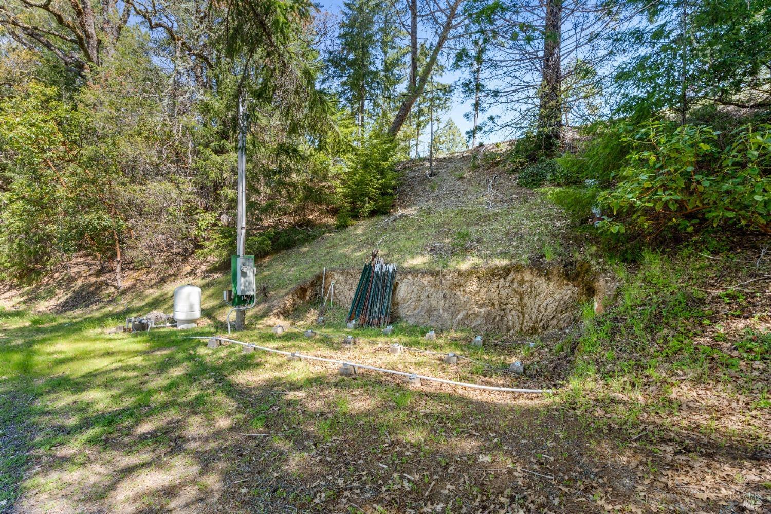 15800 Ridgeview Road Willits CA 95490
