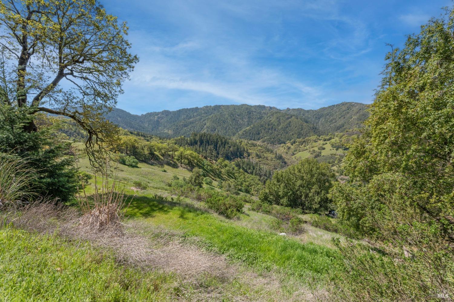 15800 Ridgeview Road Willits CA 95490
