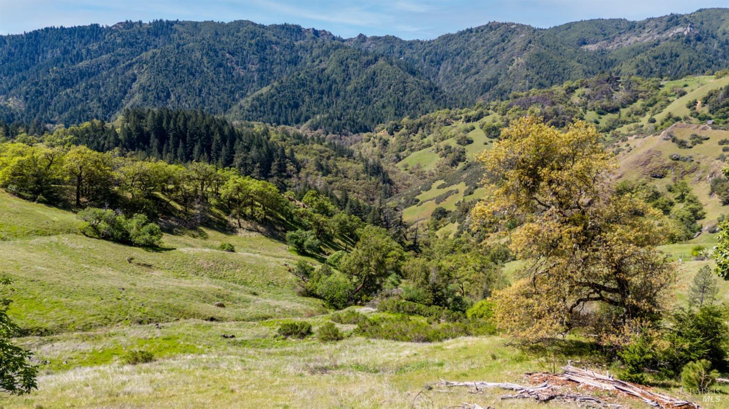 15800 Ridgeview Road Willits CA 95490