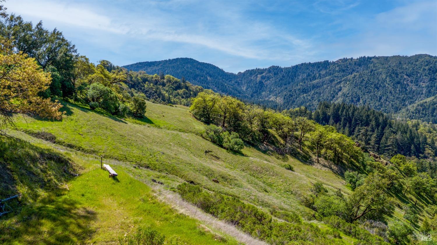 15800 Ridgeview Road Willits CA 95490