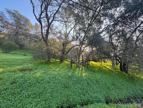 17278 Hillcrest Avenue Sonoma CA 95476