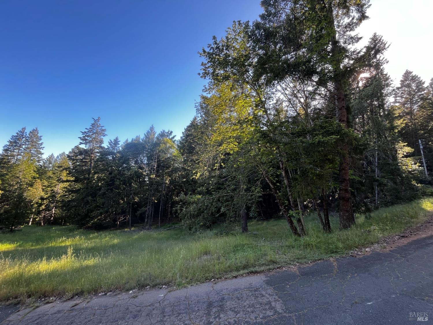26048 Peacock Road Willits CA 95490
