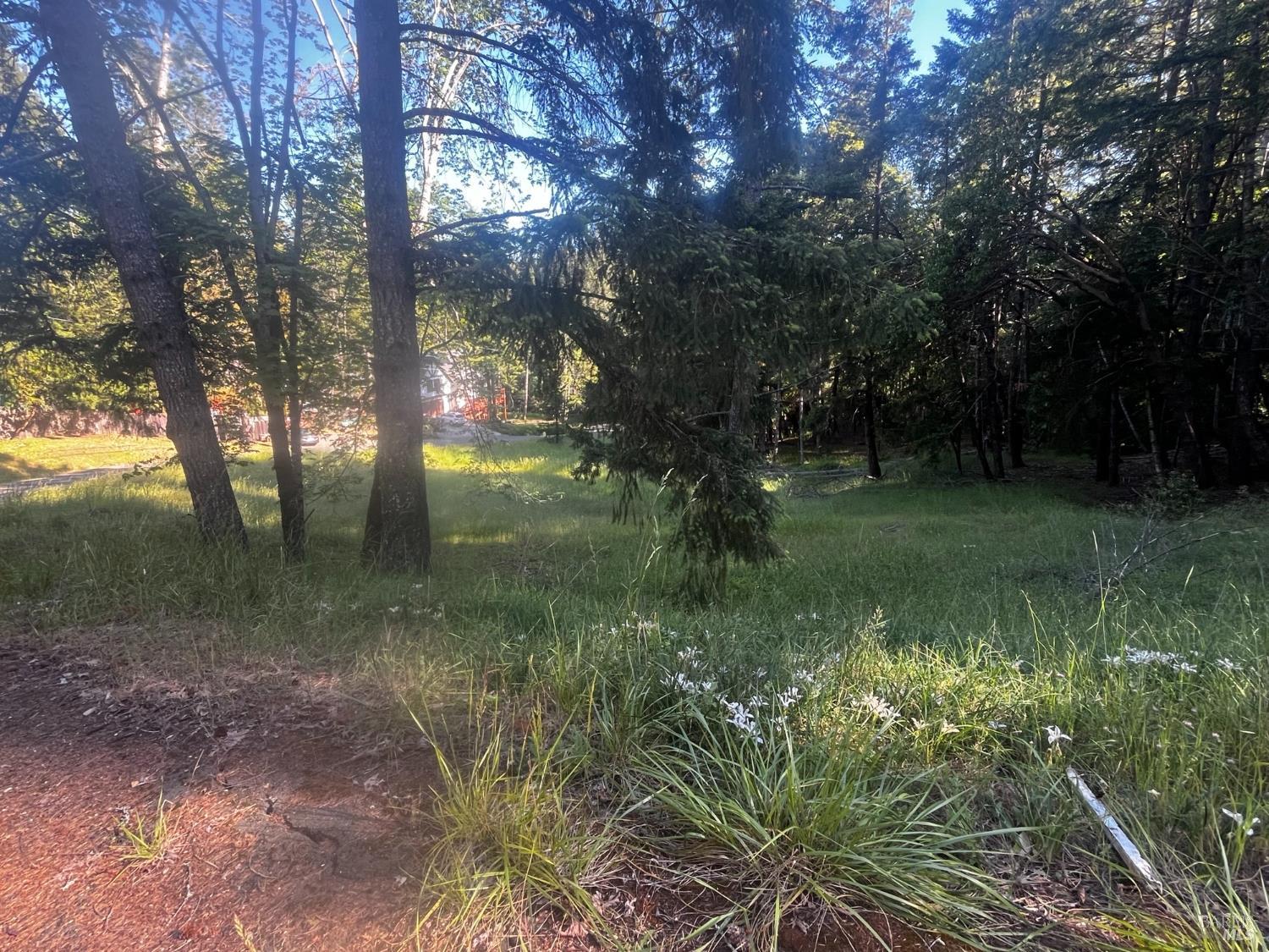 26048 Peacock Road Willits CA 95490