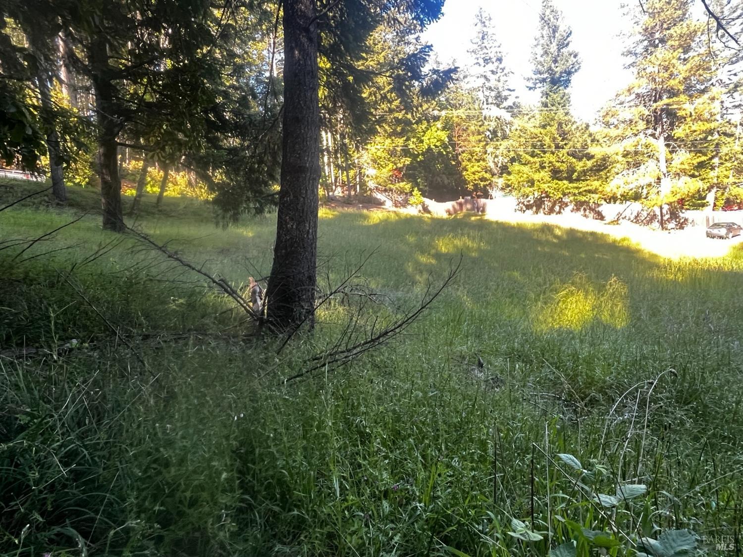 26048 Peacock Road Willits CA 95490