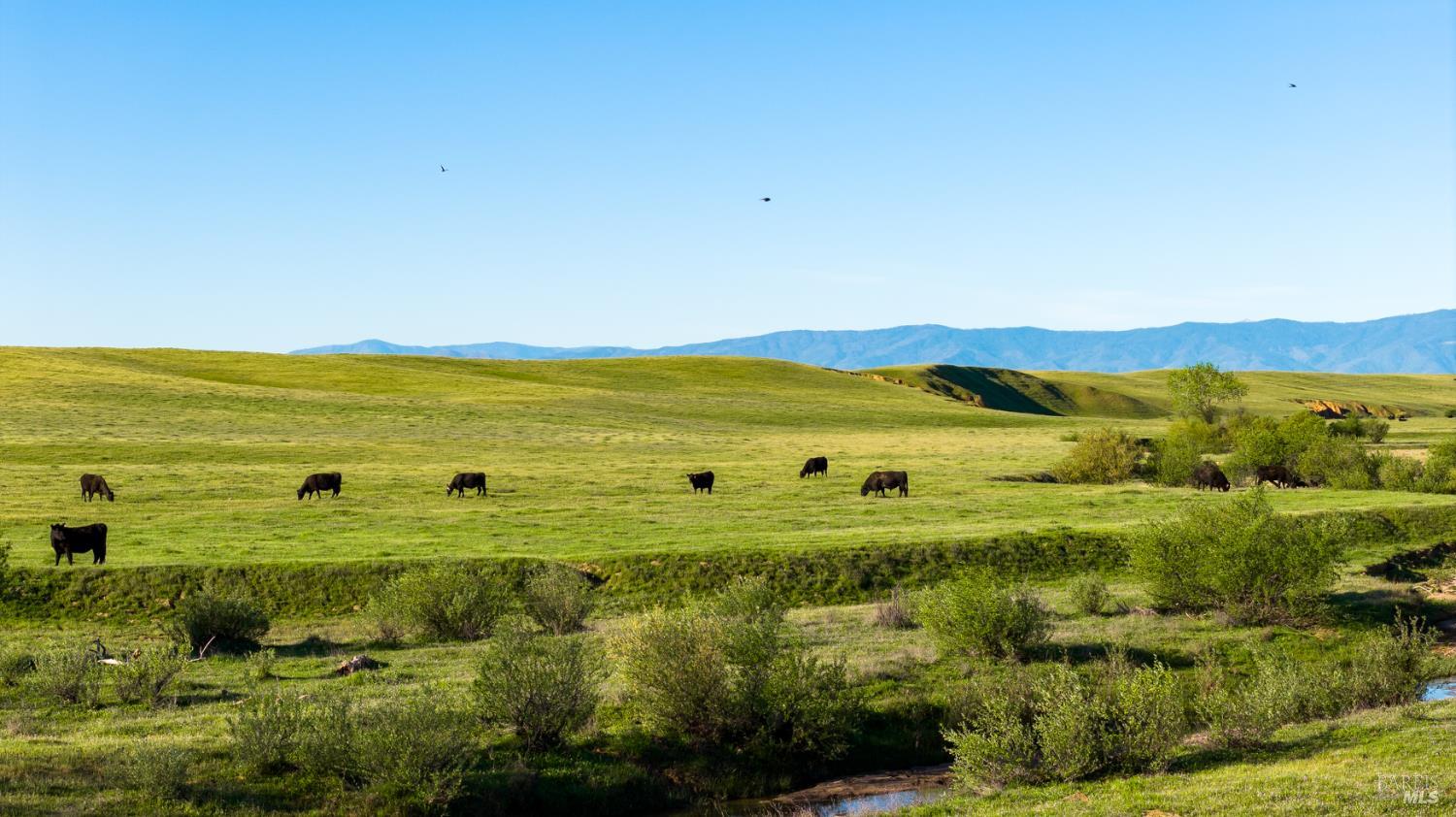 0 Rancho Tehama Road Red Bluff CA 96021
