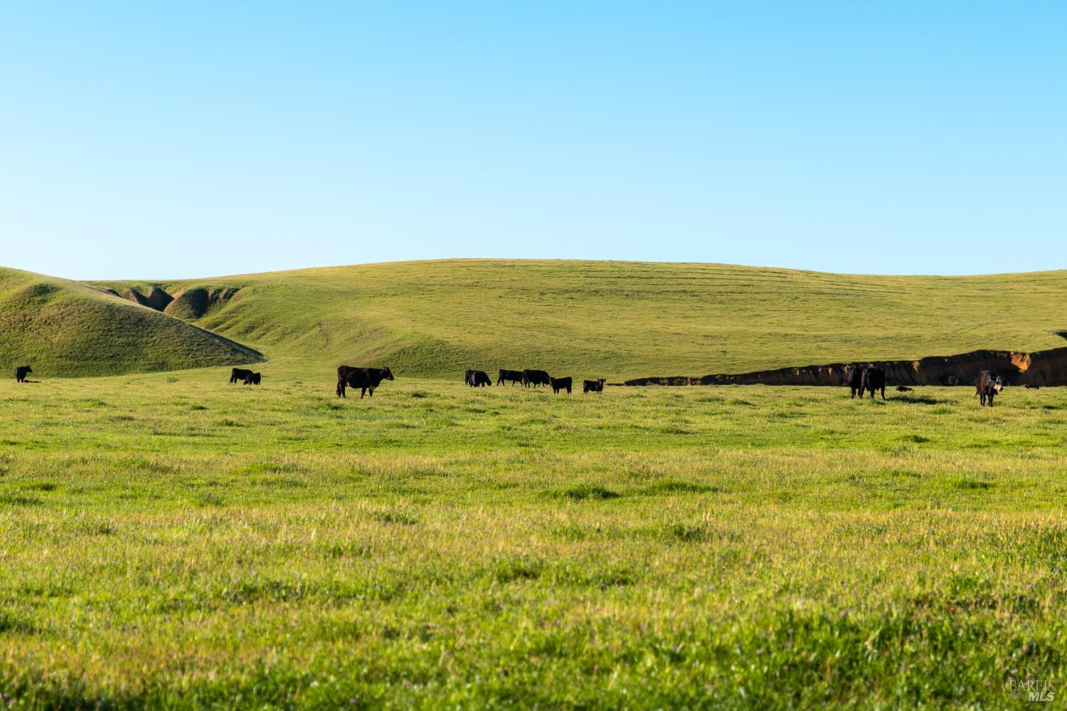 0 Rancho Tehama Road Red Bluff CA 96021