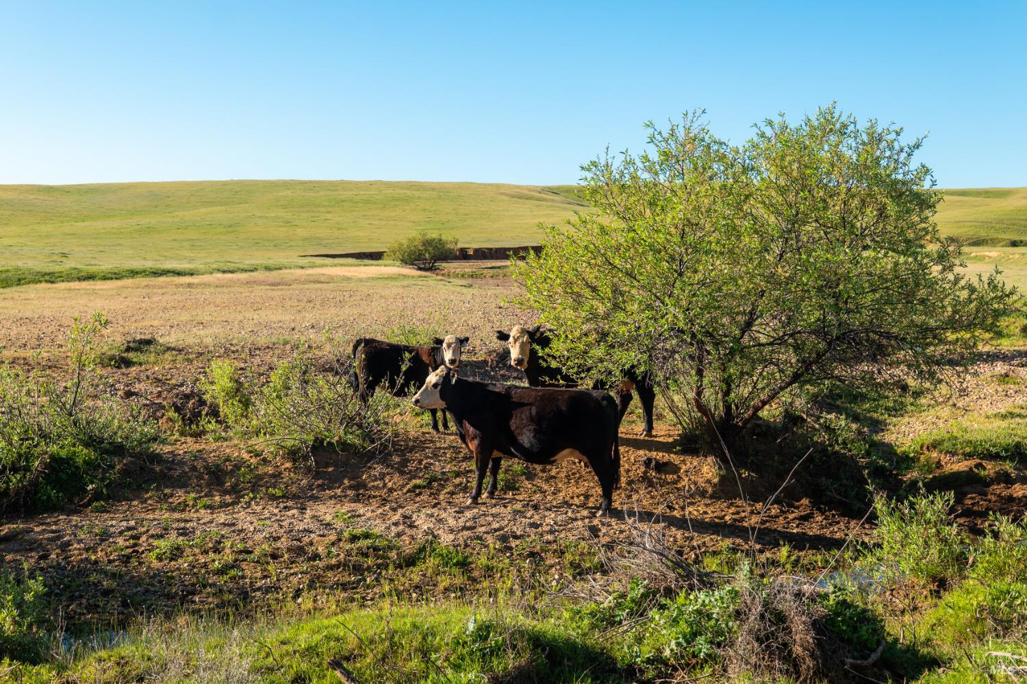 0 Rancho Tehama Road Red Bluff CA 96021