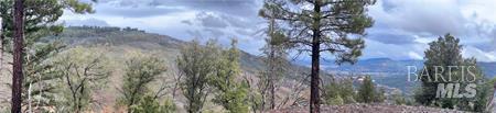 17655 Ford Flat Road Cobb CA 95426