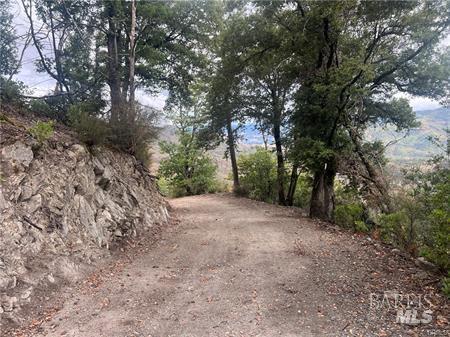 17655 Ford Flat Road Cobb CA 95426