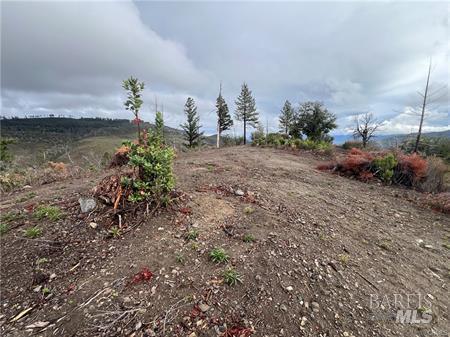17655 Ford Flat Road Cobb CA 95426