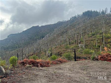 17655 Ford Flat Road Cobb CA 95426