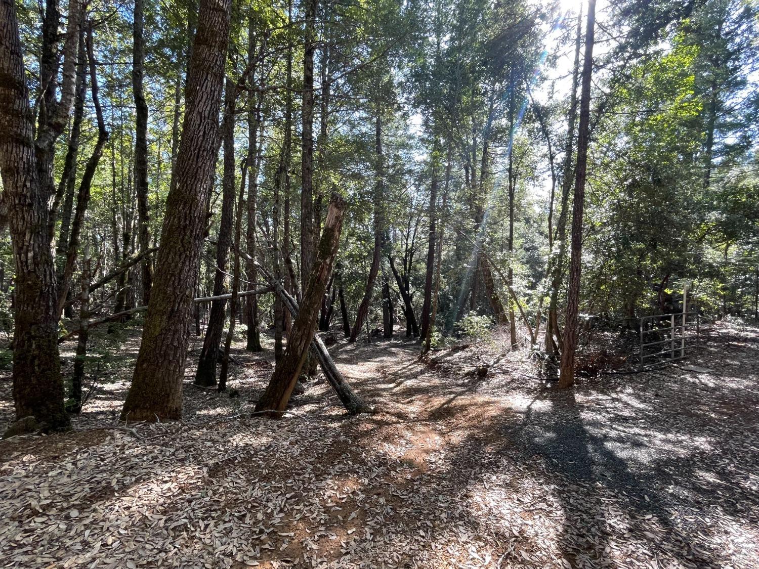 53800 Highway 101 Laytonville CA 95454