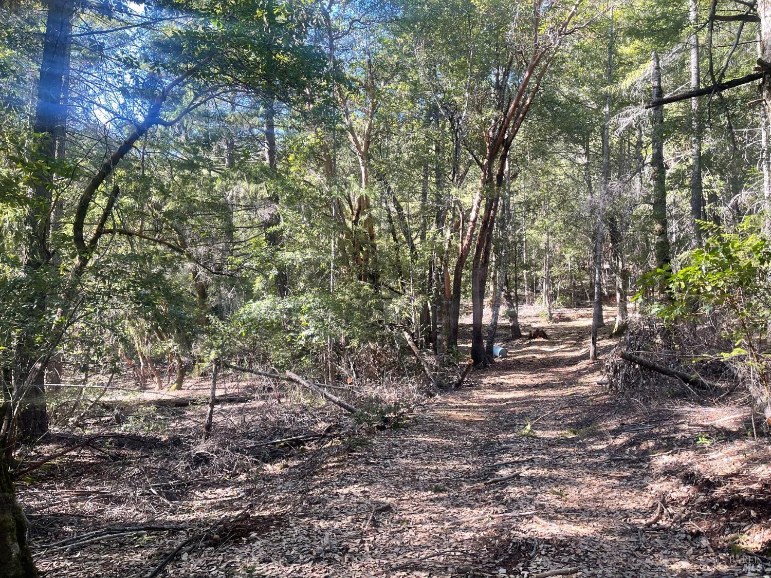 53800 Highway 101 Laytonville CA 95454