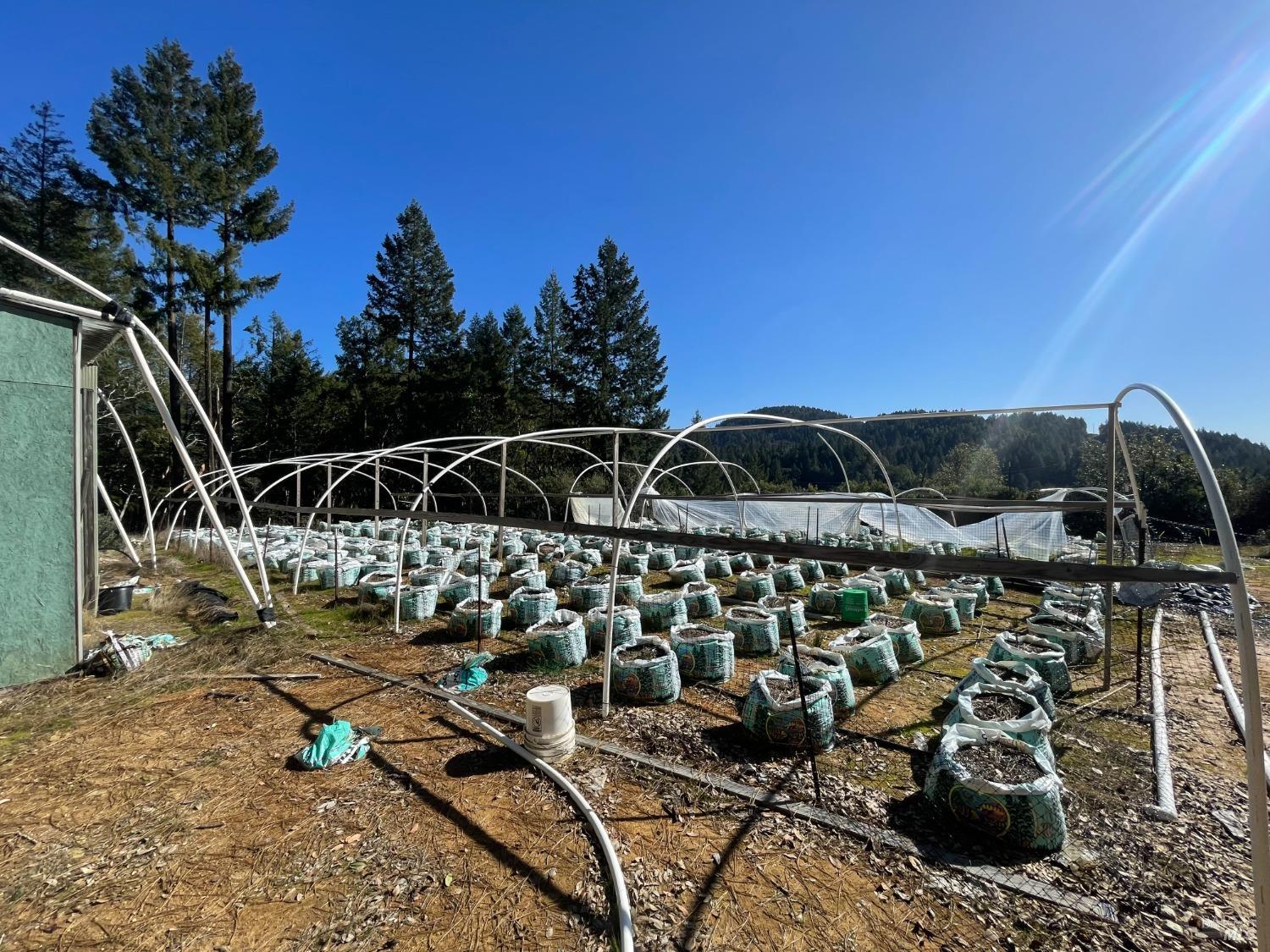 53800 Highway 101 Laytonville CA 95454