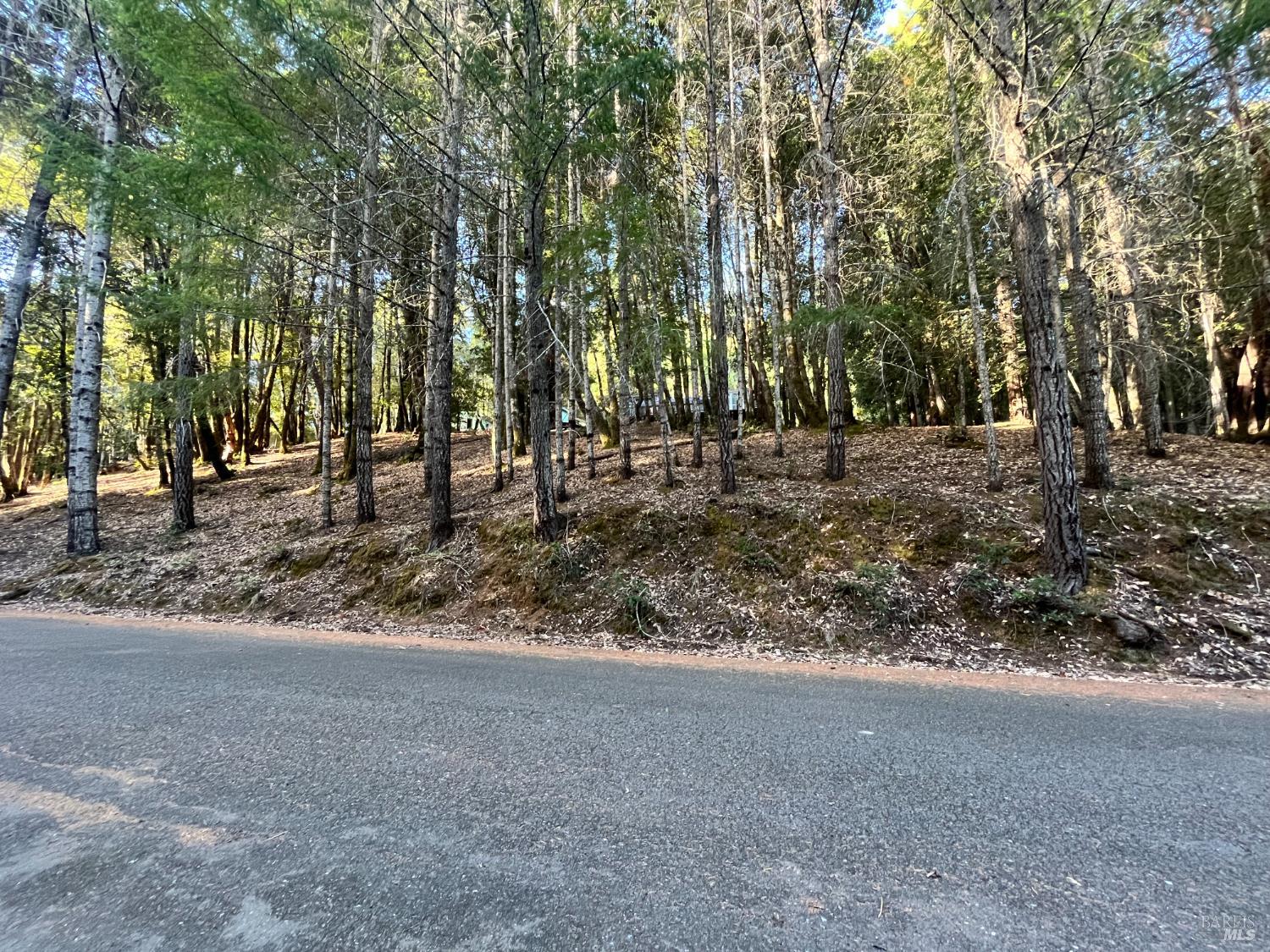 24250 Buckeye Lane Willits CA 95490