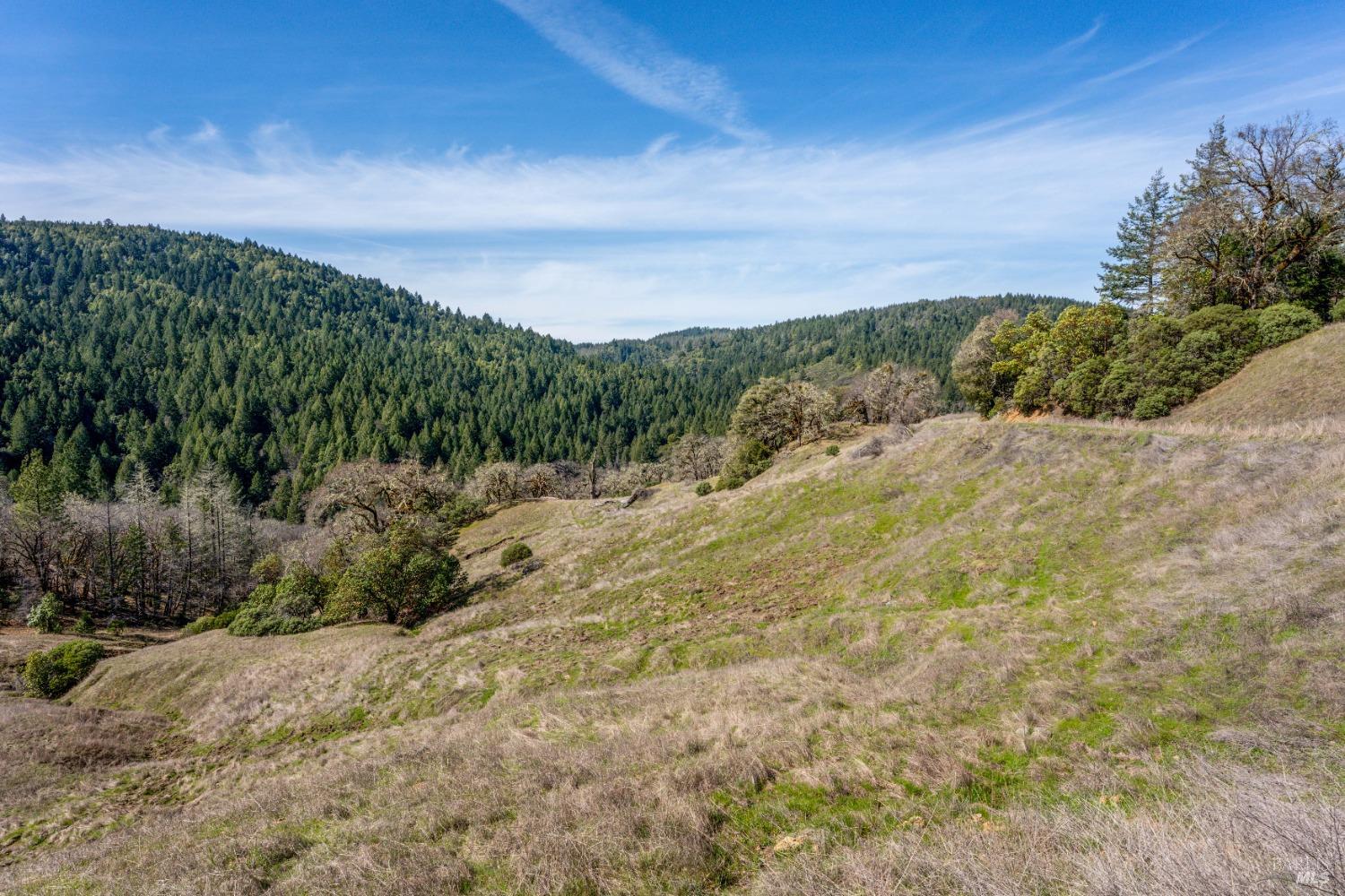 20401 Tomki Redwood Valley CA 95470