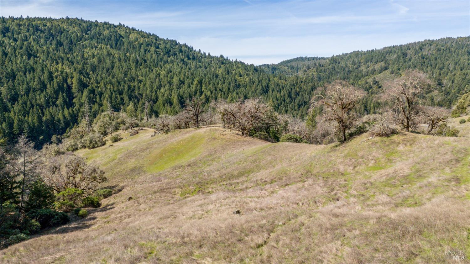 20401 Tomki Redwood Valley CA 95470