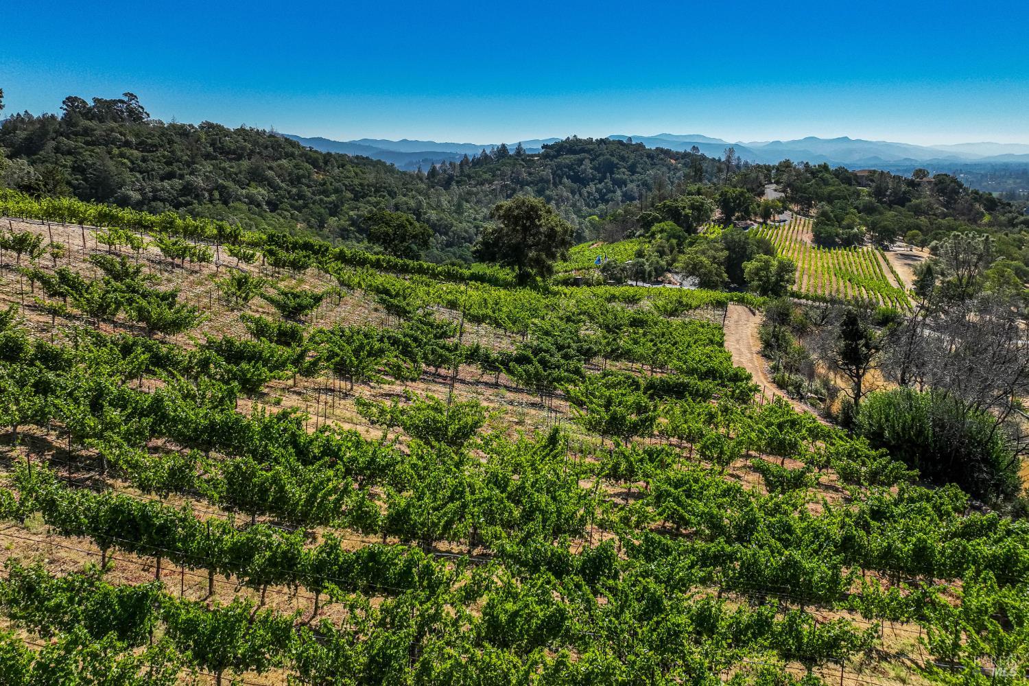2910 Spring Mountain Road St. Helena CA 94574
