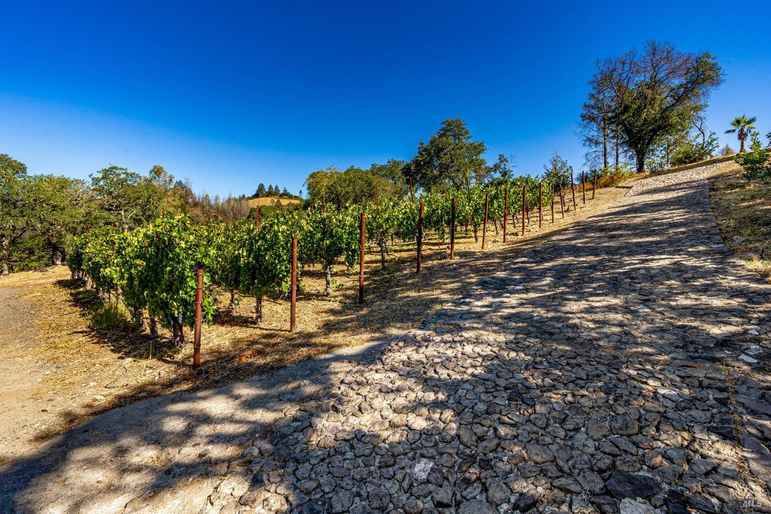 2910 Spring Mountain Road St. Helena CA 94574