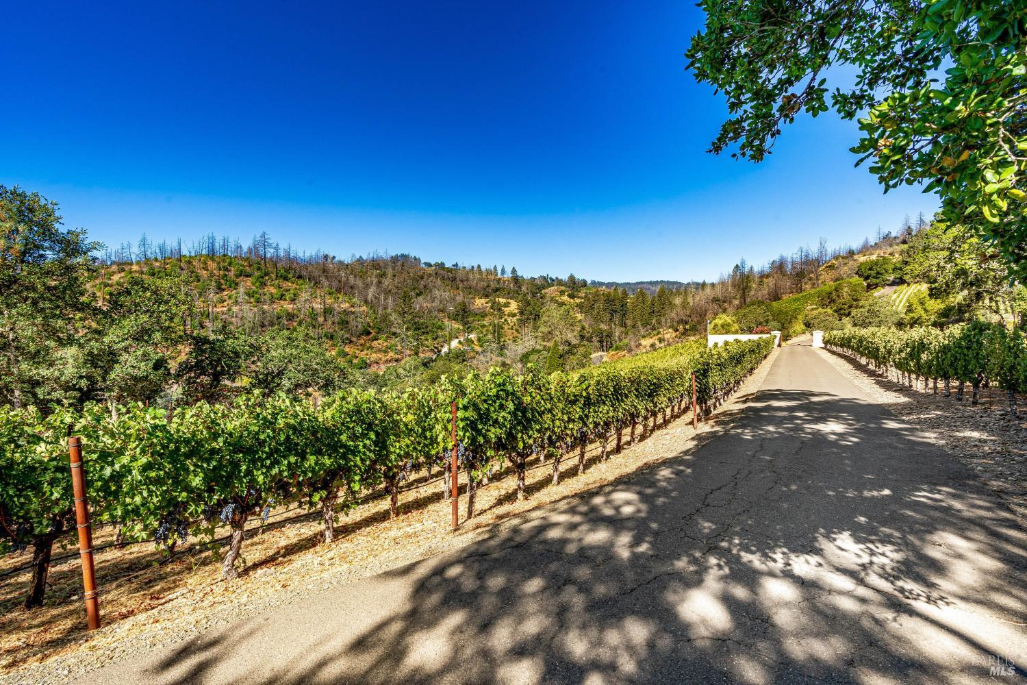 2910 Spring Mountain Road St. Helena CA 94574