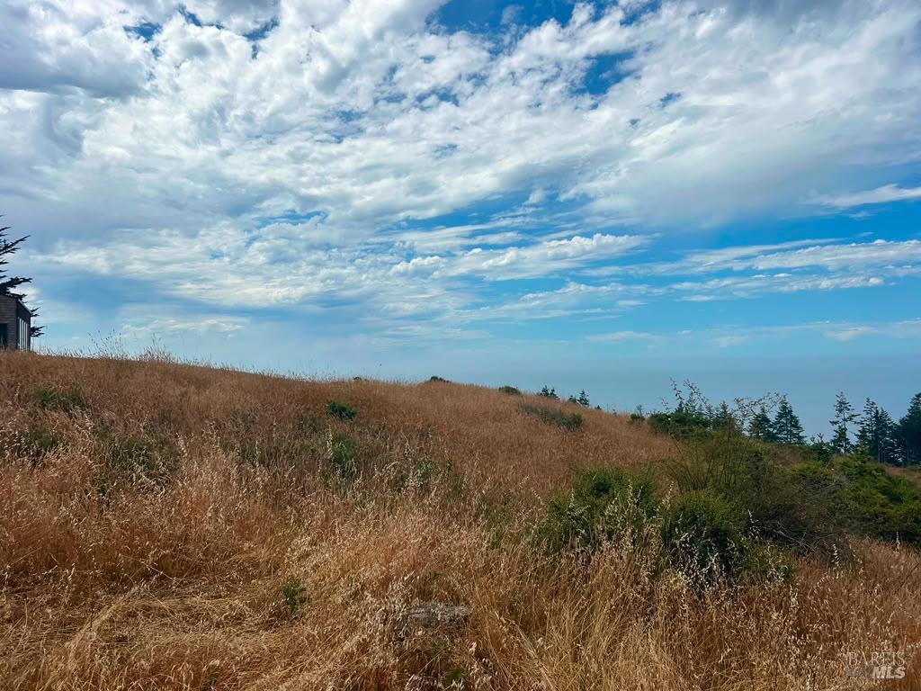 449 Drovers The Sea Ranch CA 95497