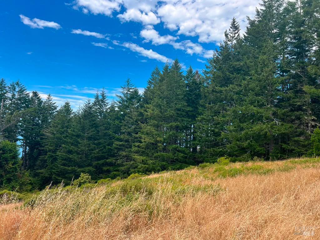 449 Drovers The Sea Ranch CA 95497