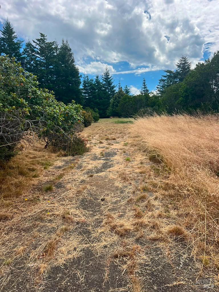 449 Drovers The Sea Ranch CA 95497