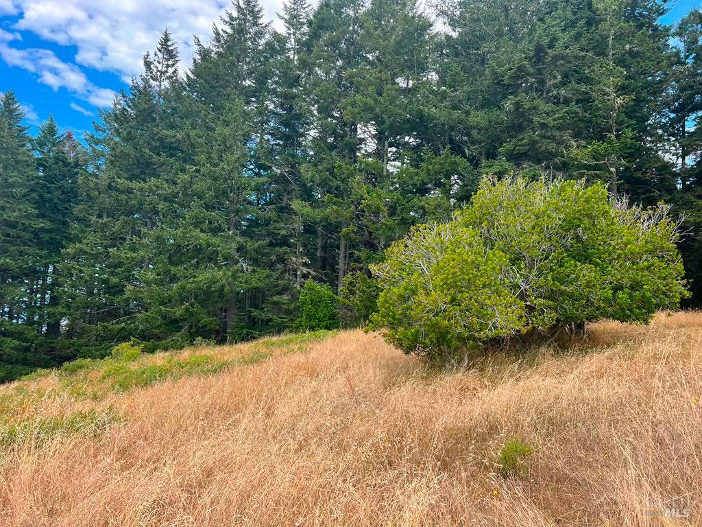 449 Drovers The Sea Ranch CA 95497