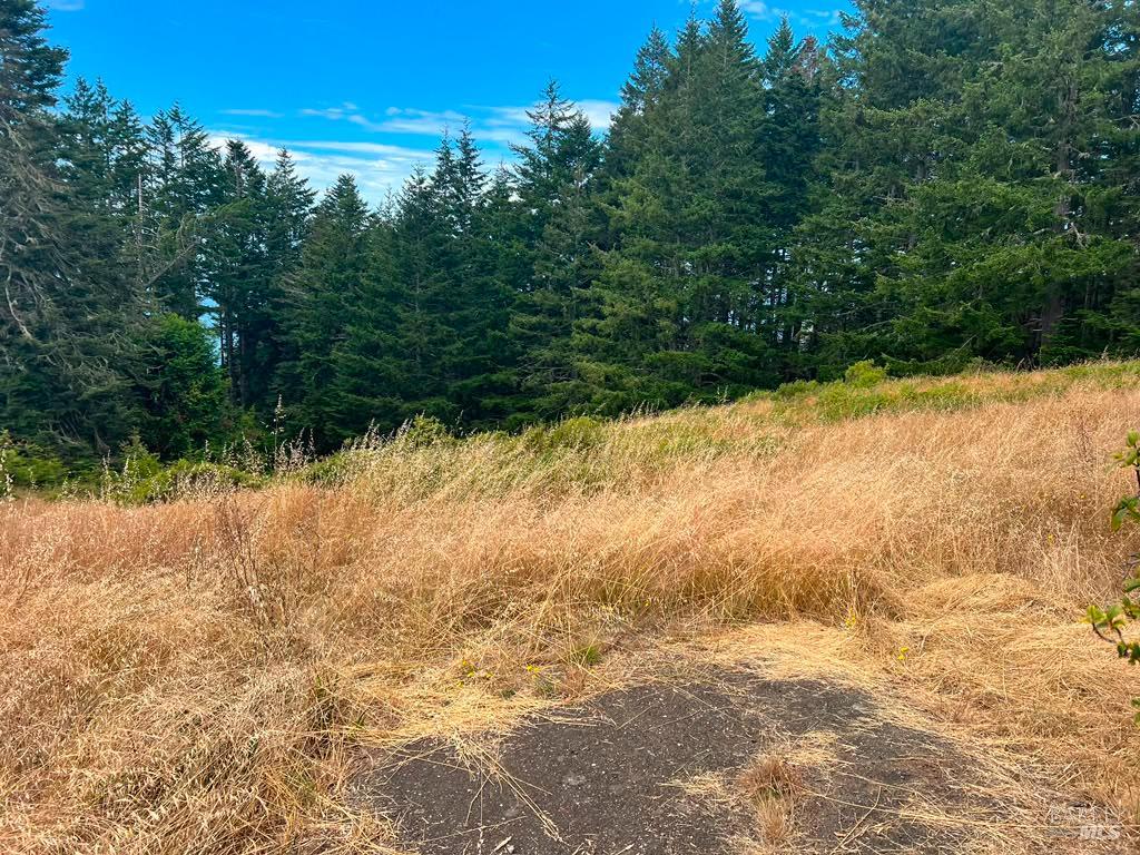 449 Drovers The Sea Ranch CA 95497