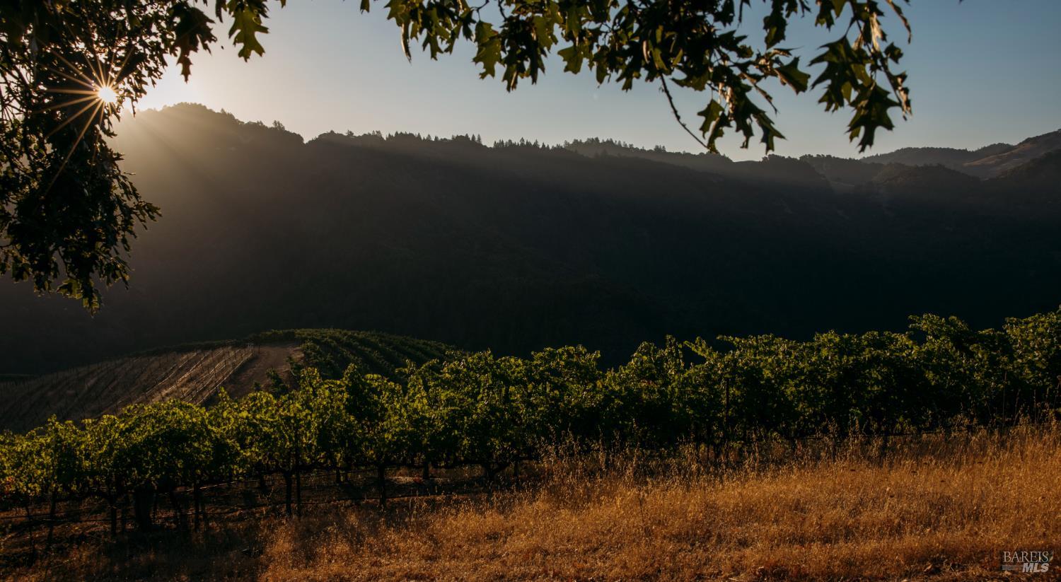 8594 St Helena Road Santa Rosa CA 95404