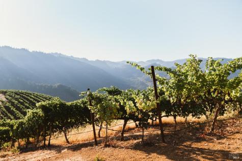8594 St Helena Road Santa Rosa CA 95404