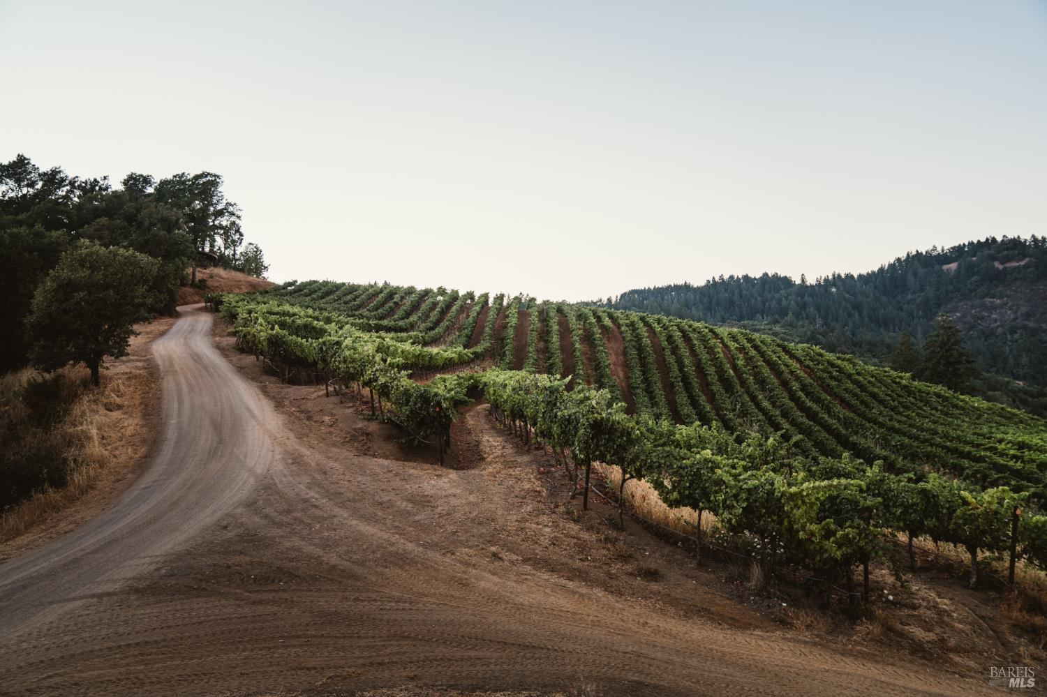 8594 St Helena Road Santa Rosa CA 95404