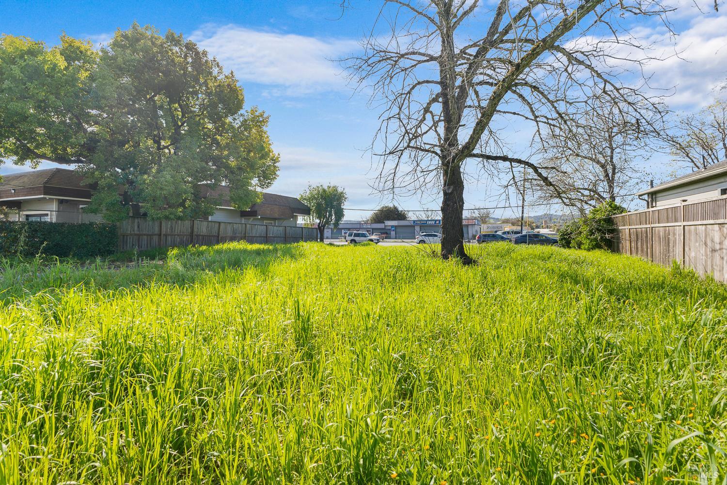 315 Lakeville Street Petaluma CA 94952