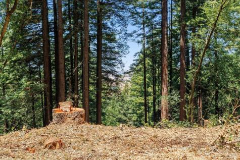 1401 Nicasio Valley Road Nicasio CA 94946