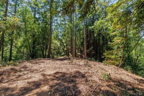 1401 Nicasio Valley Road Nicasio CA 94946