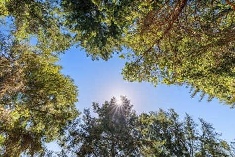 1401 Nicasio Valley Road Nicasio CA 94946