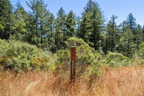 1401 Nicasio Valley Road Nicasio CA 94946