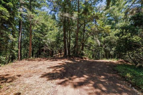 1401 Nicasio Valley Road Nicasio CA 94946
