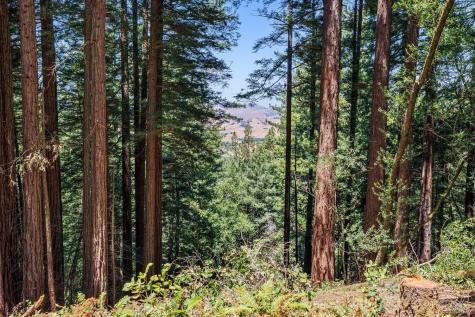 1401 Nicasio Valley Road Nicasio CA 94946