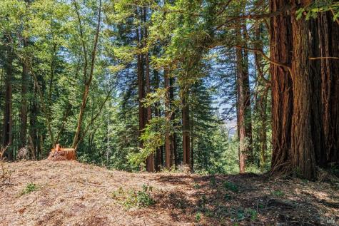 1401 Nicasio Valley Road Nicasio CA 94946