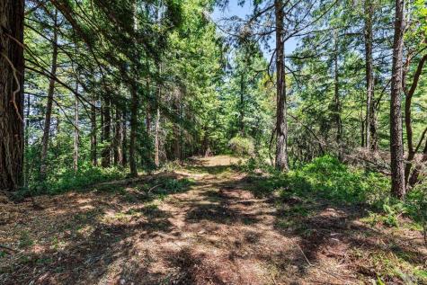 1401 Nicasio Valley Road Nicasio CA 94946