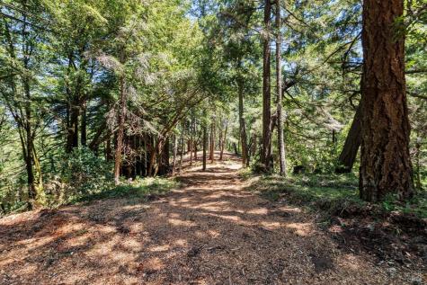 1401 Nicasio Valley Road Nicasio CA 94946