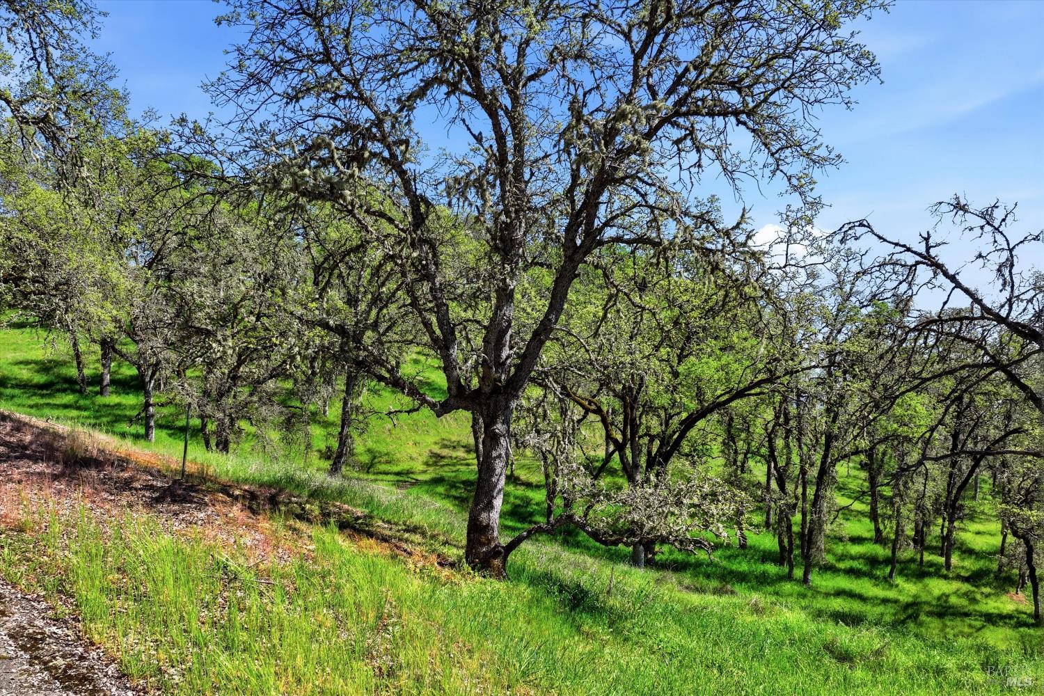 726 Park Way Lakeport CA 95453