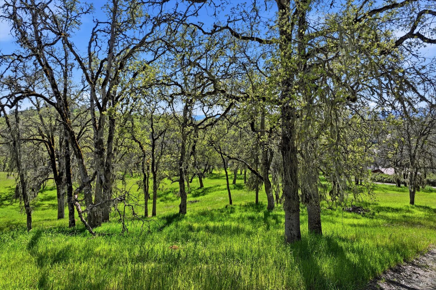 726 Park Way Lakeport CA 95453