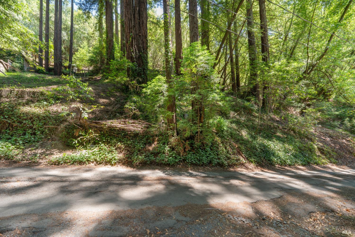 15192 Canyon 6 Road Guerneville CA 95446